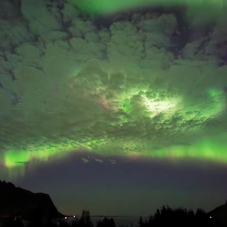 Rystad Midnight Sun And Nature Apartment Luaran gambar
