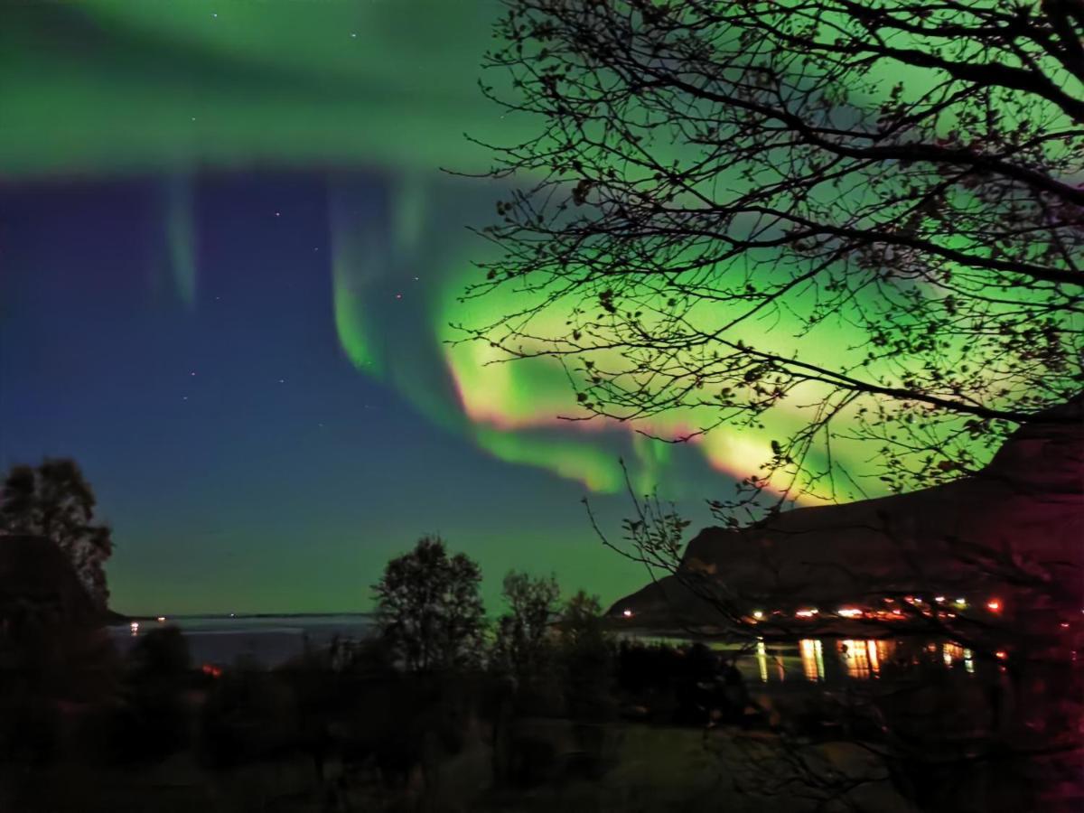 Rystad Midnight Sun And Nature Apartment Luaran gambar