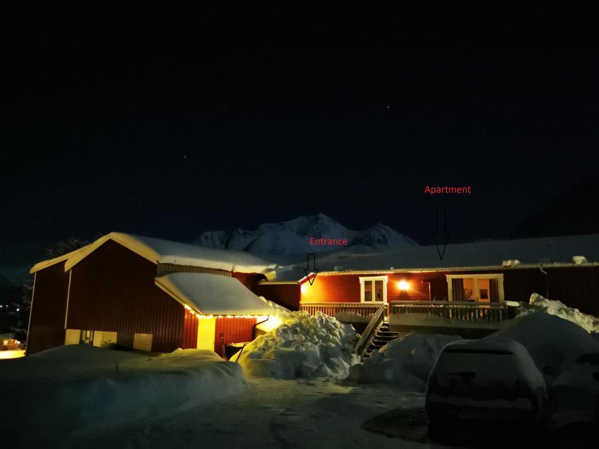 Rystad Midnight Sun And Nature Apartment Luaran gambar