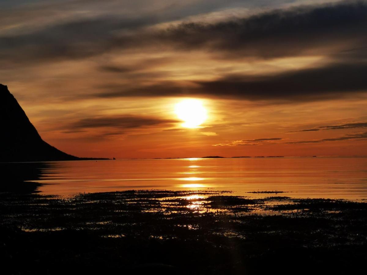 Rystad Midnight Sun And Nature Apartment Luaran gambar